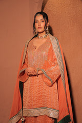 Rust Orange Hand Embroidered Kurta Set