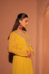 Mustard Yellow Mirror Embellished Set