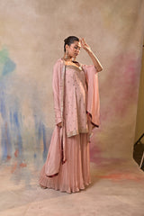 Pink Embellished Sharara Set