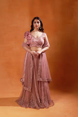 Blush Pink Embroidered Lehenga Set