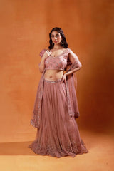 Blush Pink Embroidered Lehenga Set