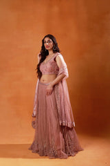 Blush Pink Embroidered Lehenga Set