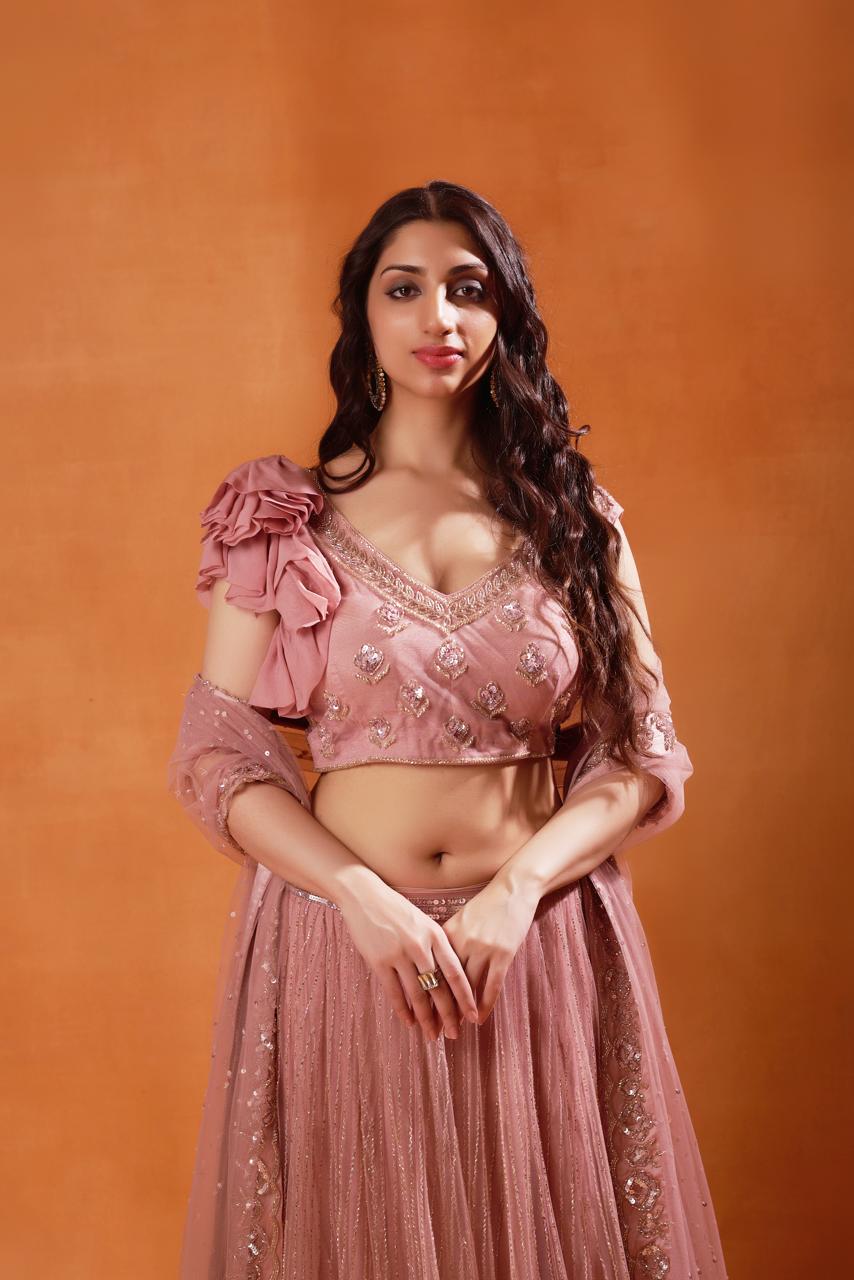 Blush Pink Embroidered Lehenga Set